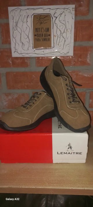Zapatos de seguridad Lemaître Marrones