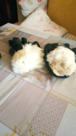 GORRO Y GUANTES
