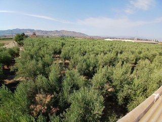 Terreno en venta en Huércal-Overa