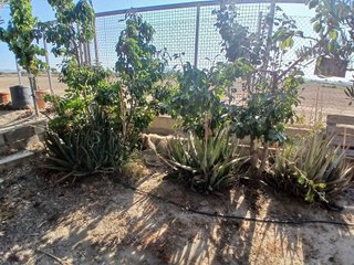 Terreno en venta en Huércal-Overa