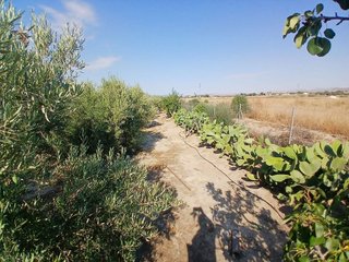 Terreno en venta en Huércal-Overa