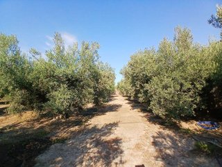 Terreno en venta en Huércal-Overa