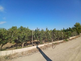 Terreno en venta en Huércal-Overa