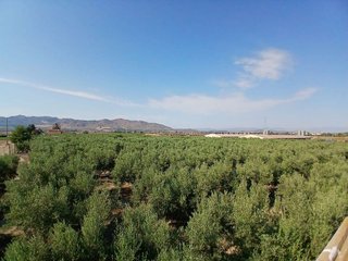Terreno en venta en Huércal-Overa