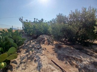 Terreno en venta en Huércal-Overa
