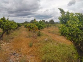 Terreno en venta en Centro en Bétera