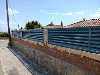 Paleta oficial