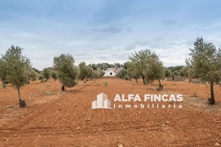 Chalet en venta en Villarrobledo