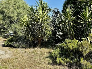 Casa en venta en Algodonales