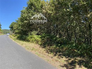 Terreno en venta en Cañiza (A)