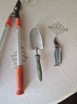 Attrezzi da giardinaggio: forbici e pala