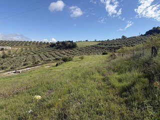 Terreno en venta en Jaén