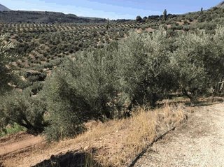 Terreno en venta en Úbeda