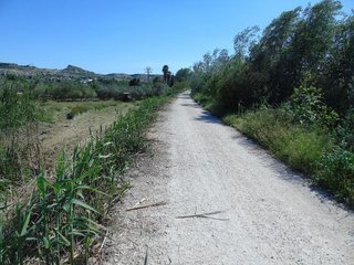 Terreno en venta en Lorquí