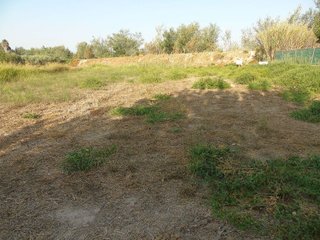 Terreno en venta en Lorquí