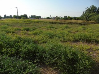 Terreno en venta en Lorquí