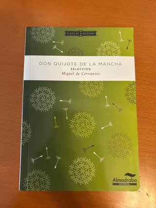 Libro don quijote de la mancha