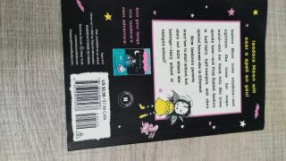 Isadora Moon Goes to School