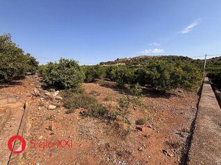 Terreno en venta en Alcora, l´