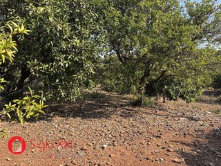 Terreno en venta en Alcora, l´