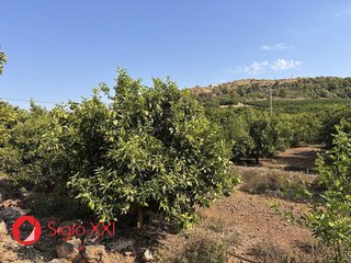 Terreno en venta en Alcora, l´