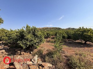 Terreno en venta en Alcora, l´
