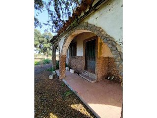Terreno en venta en Este en Mérida