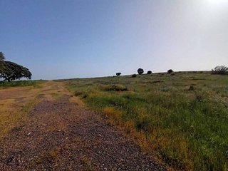 Terreno en venta en Este en Mérida