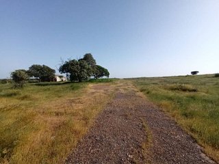 Terreno en venta en Este en Mérida