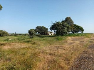 Terreno en venta en Este en Mérida