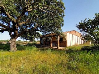 Terreno en venta en Este en Mérida
