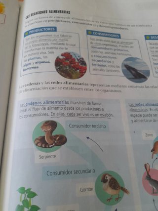 Ciencias de la Naturaleza 6, Tercer Ciclo Prima...