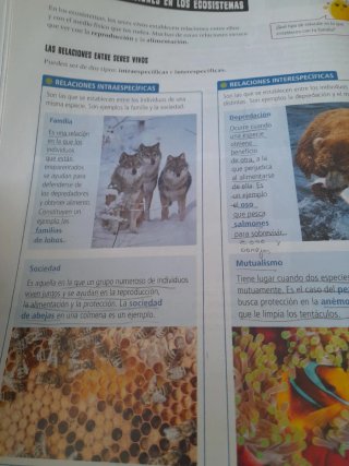 Ciencias de la Naturaleza 6, Tercer Ciclo Prima...