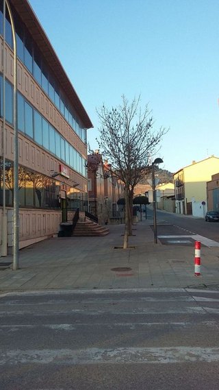 Local comercial en alquiler en Villamuriel de Cerrato