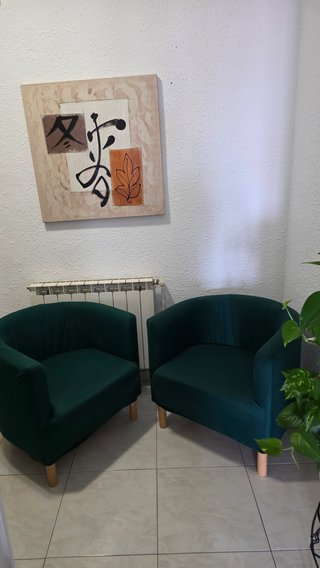 2 Sillones Funda Verde Oscuro Ikea