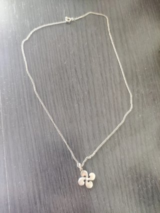 Cadena de Plata de 925 y Colgante