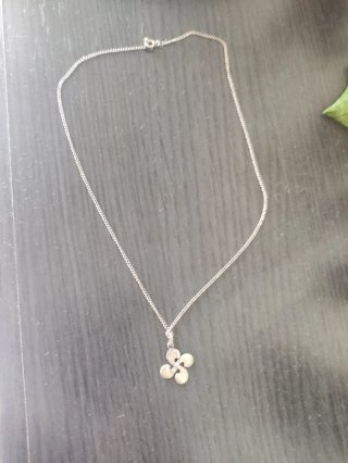 Cadena de Plata de 925 y Colgante