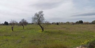 Solar en venta en Campos