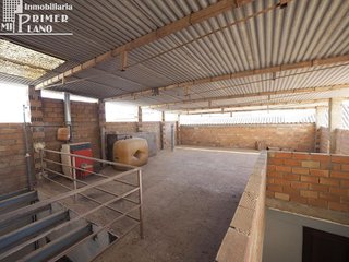 Chalet en venta en Argamasilla de Alba