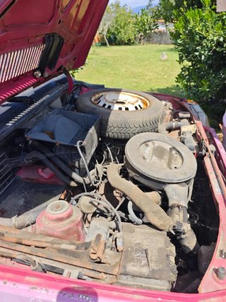 SEAT marbella