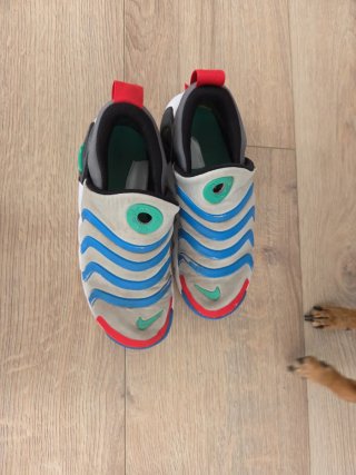 Zapatos Nike