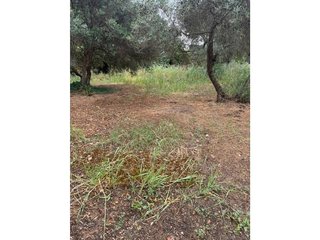 Casa en venta en Carmona