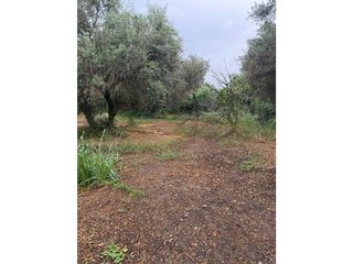 Casa en venta en Carmona