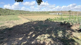 Casa rural en venta en Zona la Ribera - Alqueria - Río en Huelva