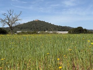 Solar en venta en Porreres
