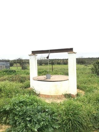 Casa rural en venta en Almonte en Almonte