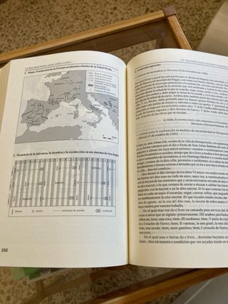 Manual de historia medieval