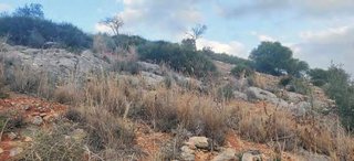 Solar en venta en Coín