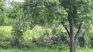 Terreno en venta en Entrambasaguas