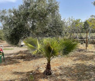 Terreno en venta en Úbeda